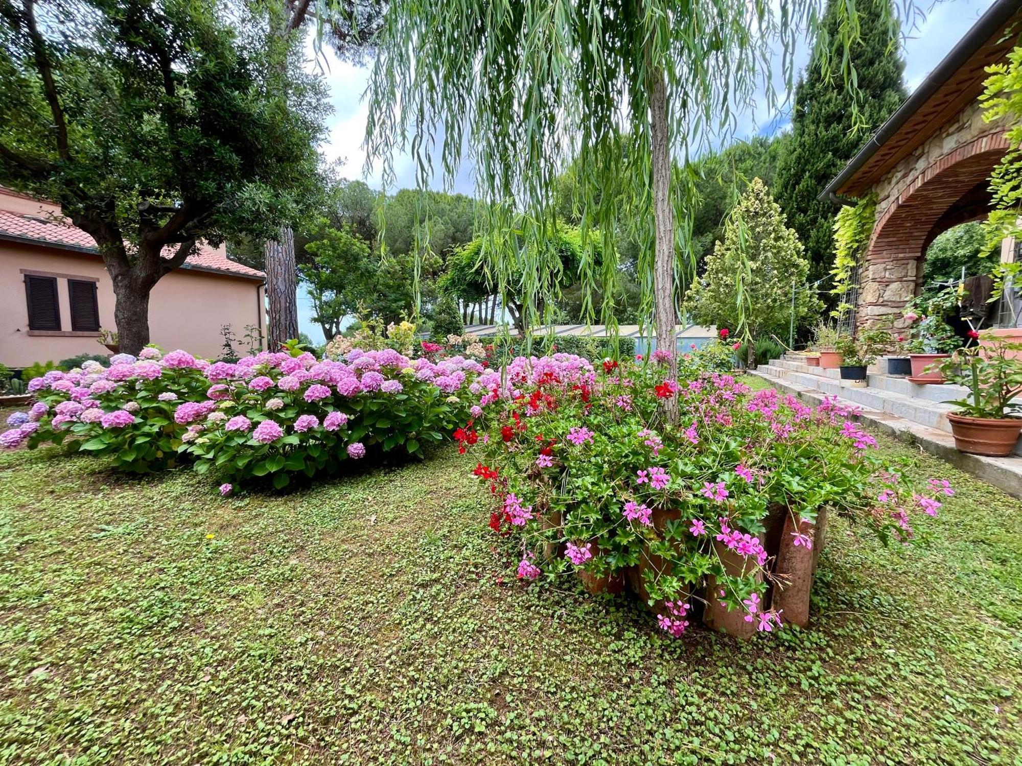 Villa La Rosa Dei Venti 'Scirocco' Casale Marittimo Exterior foto